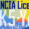 Licencia - Image 2