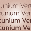 Mancunium - Image 6