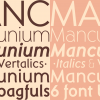 Mancunium - Image 10