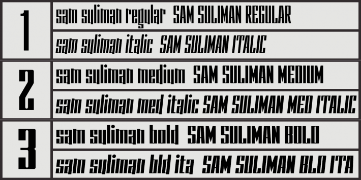 Sam Suliman - Image 11