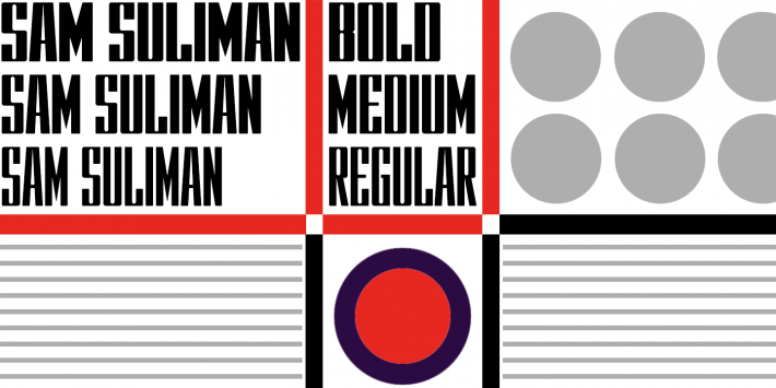 Sam Suliman - Image 10